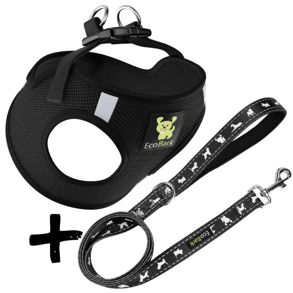 Step In Dog Harness & Leash Set - For Teacup & Small Dogs