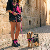 Step In Dog Harness & Leash Set - For Teacup & Small Dogs