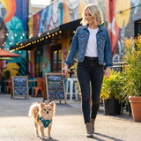 EcoBark Step In Dog Harness - XXXS to Small Breeds- Reflective Soft Mesh Harness for Teacup, Small Dogs and Puppies / Teal