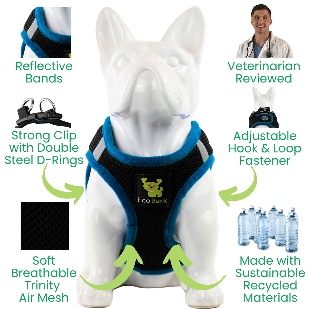 EcoBark Teal and Black Step In Dog Harness - Rapid Fastener Reflective Soft Mesh Vest Halter for Puppies and XXXS to Small Dogs