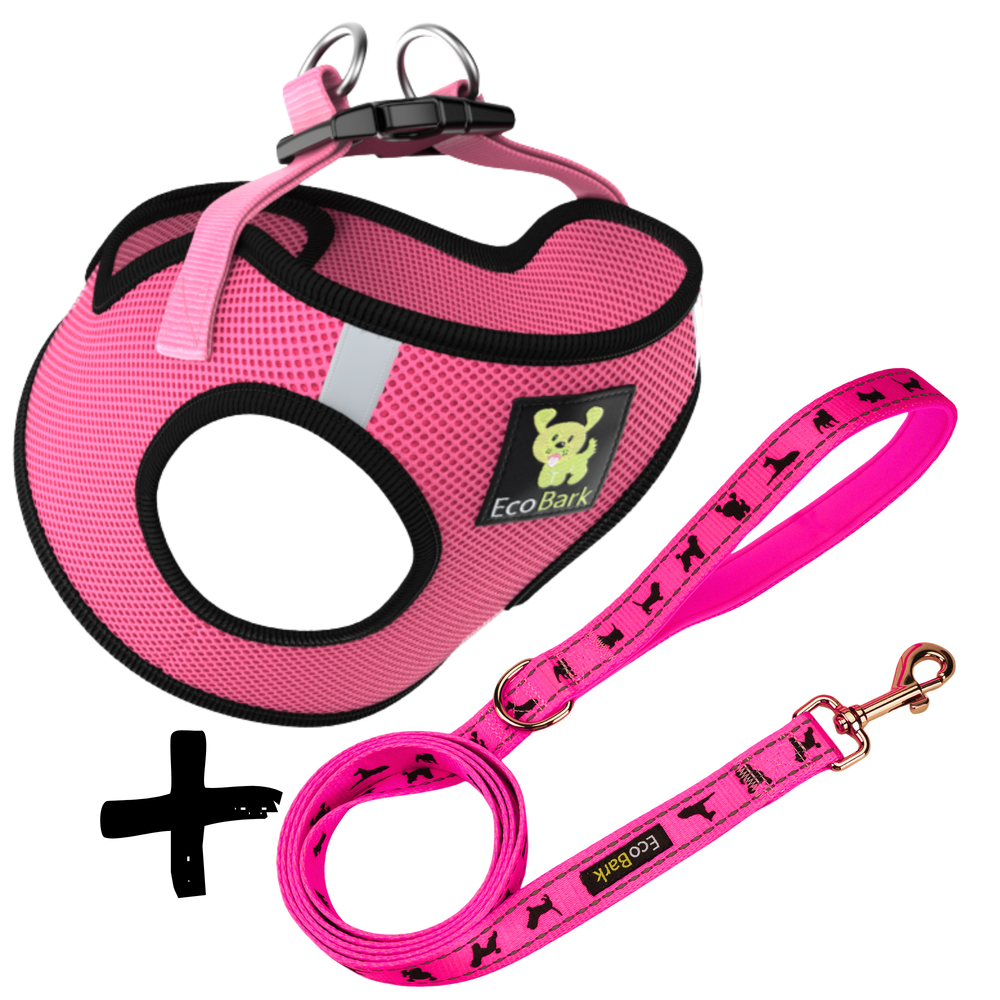 Step In Dog Harness & Leash Set - For Teacup & Small Dogs