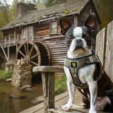 EcoBark Camo Step In Dog Harness - Reflective Soft Mesh Harness for Teacup, Small Dogs and Puppies