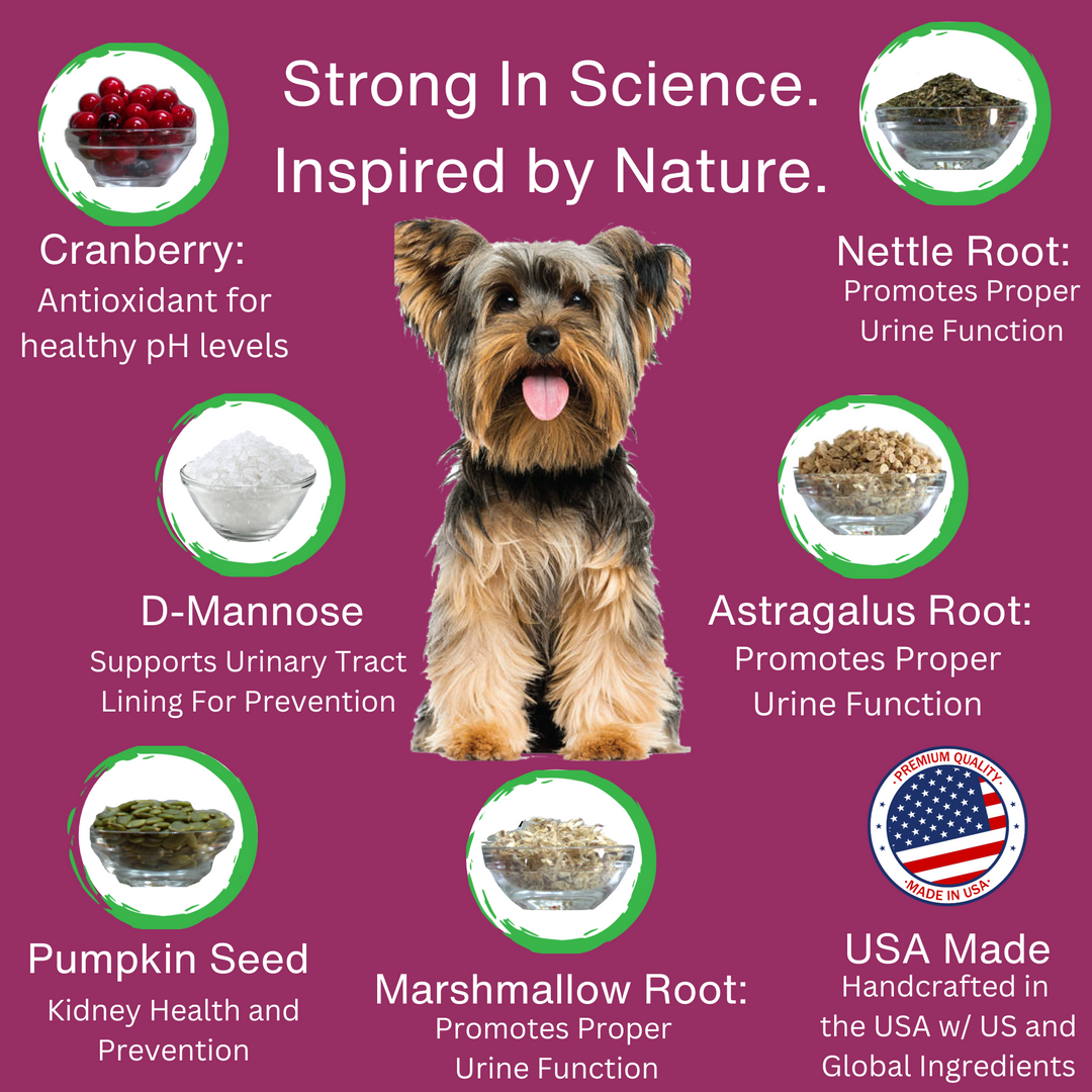 EcoBark Premium Cranberry Bladder Dog Supplement