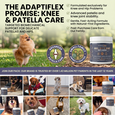 Coming Soon: The World's First Knee & Joint Supplement for Dogs with Glucosamine, Chondroitin, and MSM EcoBark Pet Supplies