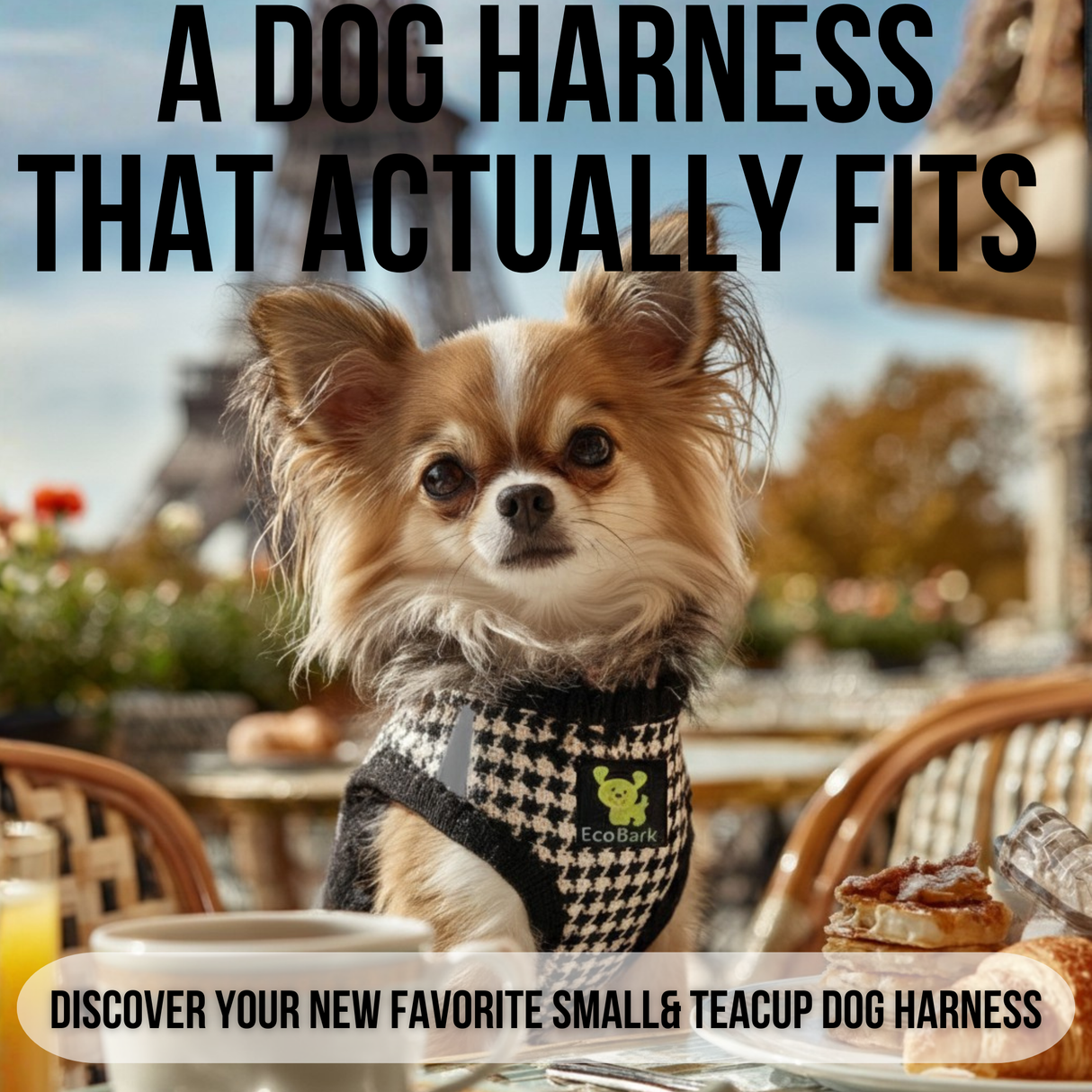 Long-haired teacup Chihuahua puppy wearing an EcoBark Houndstooth Step-In Dog Harness at a cafe table, with text overlay reading "A Dog Harness That Actually Fits - Discover your new favorite small and teacup dog harness".