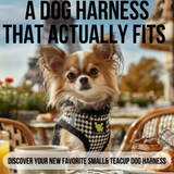 Long-haired teacup Chihuahua puppy wearing an EcoBark Houndstooth Step-In Dog Harness at a cafe table, with text overlay reading "A Dog Harness That Actually Fits - Discover your new favorite small and teacup dog harness".