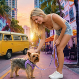 Woman with a 5 lb Yorkie dog in a lavender step in teacup dog harness a city street with a van and palm trees.