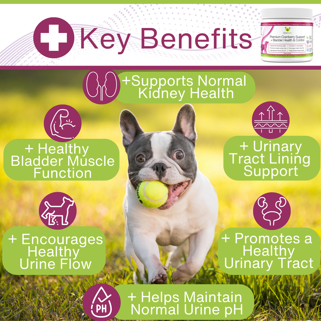 EcoBark Premium Cranberry Bladder Dog Supplement