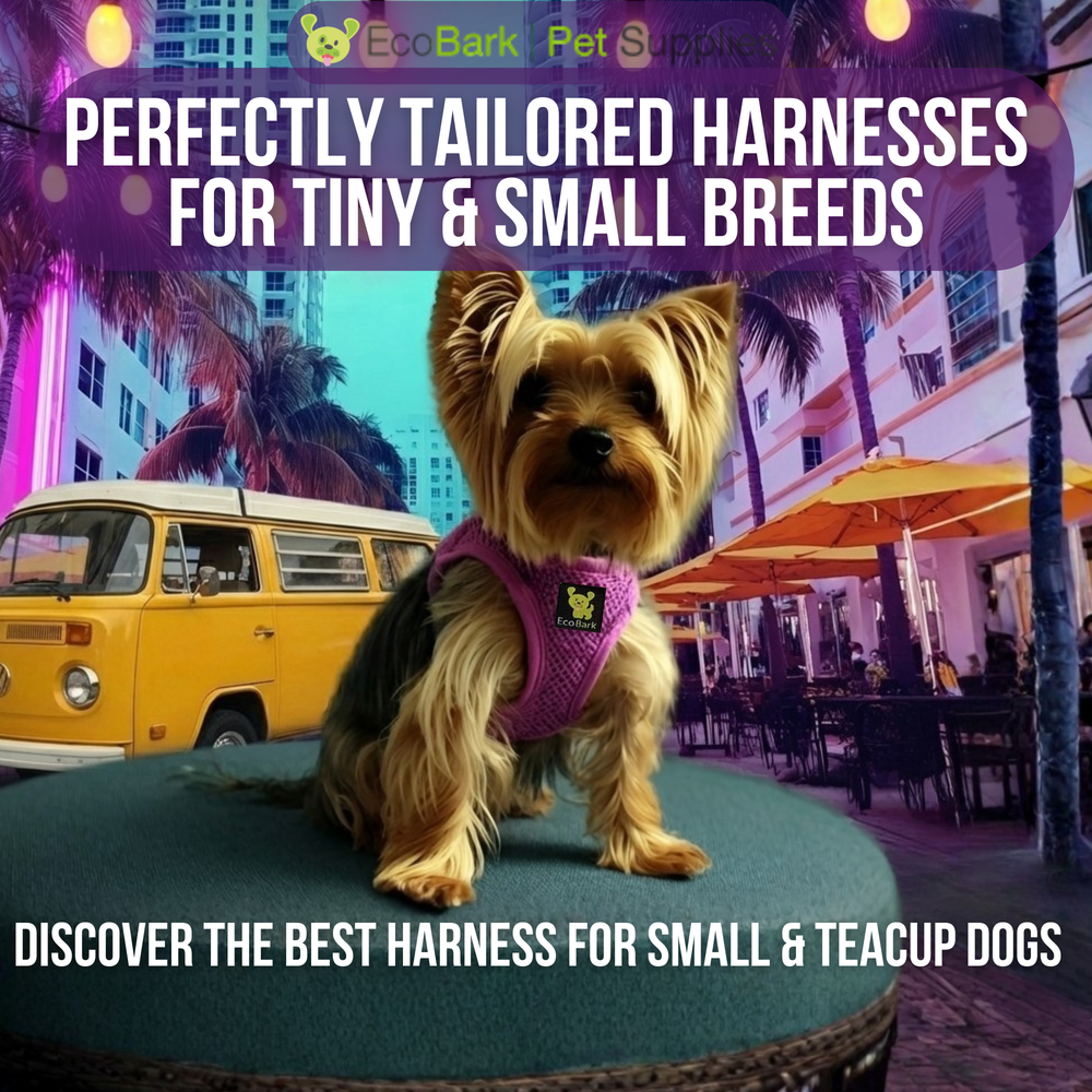Step In Dog Harness & Leash Set - For Teacup & Small Dogs