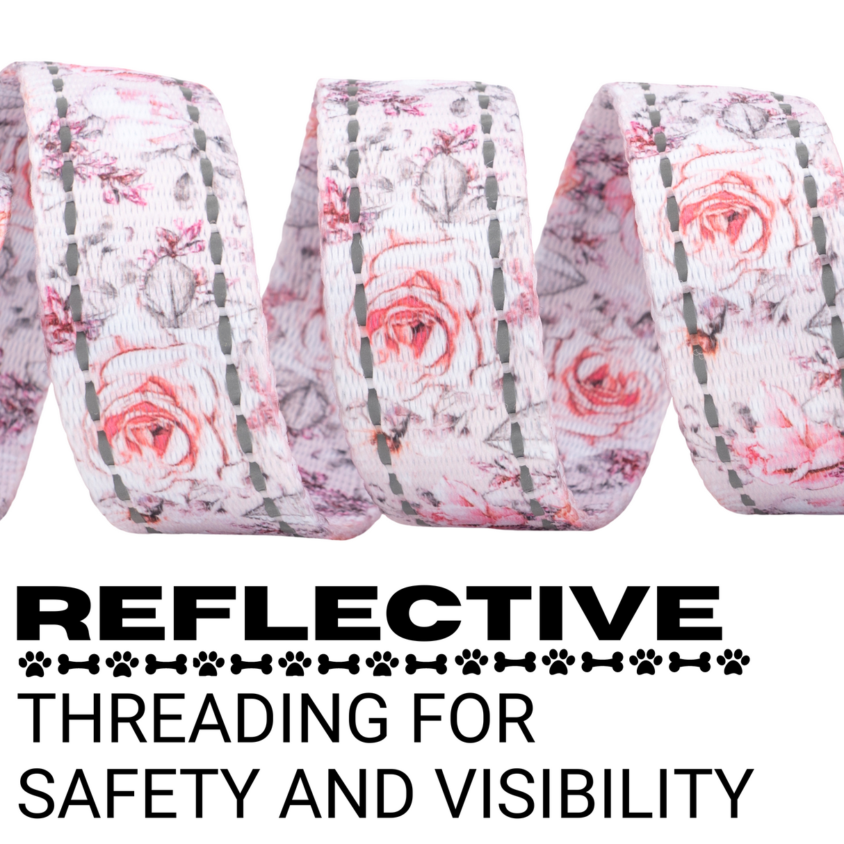 EcoBark Eco-Bright Dog Leashes