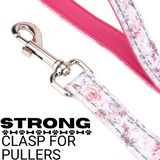 EcoBark Eco-Bright Dog Leashes