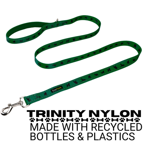 EcoBark Forest Green Dog Leash- Padded Comfort Grip Leash - 4ft, 5ft, and 6ft Leash for Small and Medium Dogs EcoBark Pet Supplies