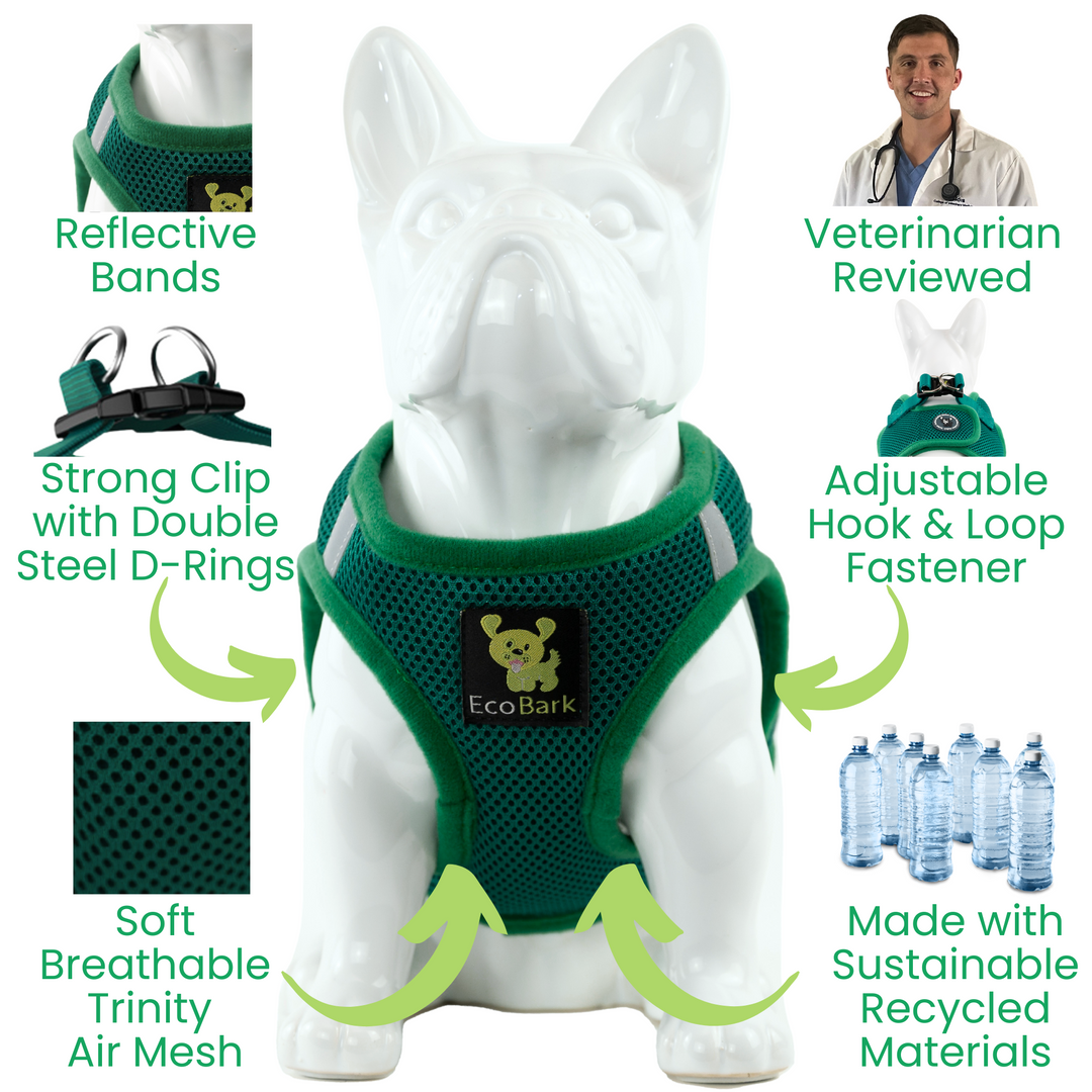 EcoBark Forest Green Step In Dog Harness - Reflective Soft Mesh Harness for Teacup, Small Dogs and Puppies