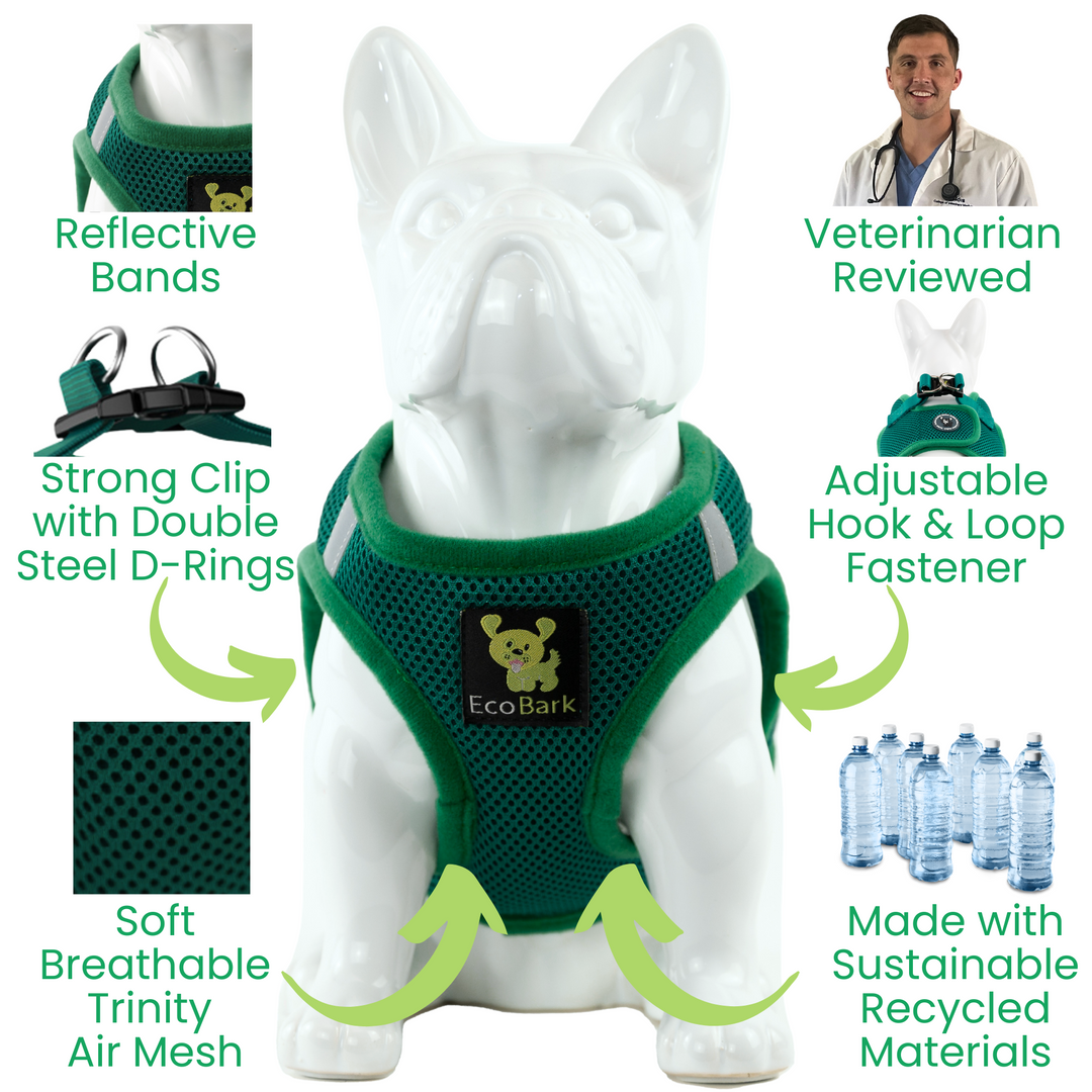 Forest green dog harness hot sale