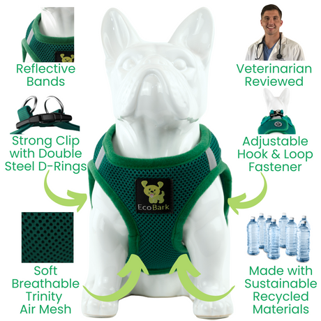 EcoBark Step In Dog Harness - Teacup & Small Breeds- Reflective Soft Mesh Harness for Teacup, Small Dogs and Puppies / Forest Green EcoBark Pet Supplies