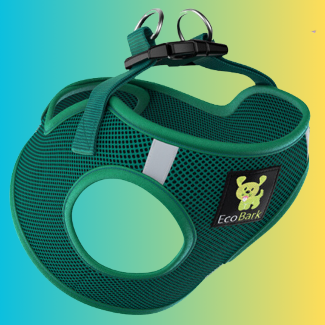EcoBark Forest Green Step In Dog Harness Reflective Soft Mesh Harness for Teacup Small Dogs and Puppies