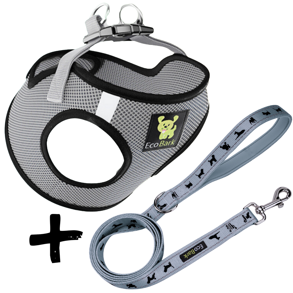 Step In Dog Harness & Leash Set - For Teacup & Small Dogs
