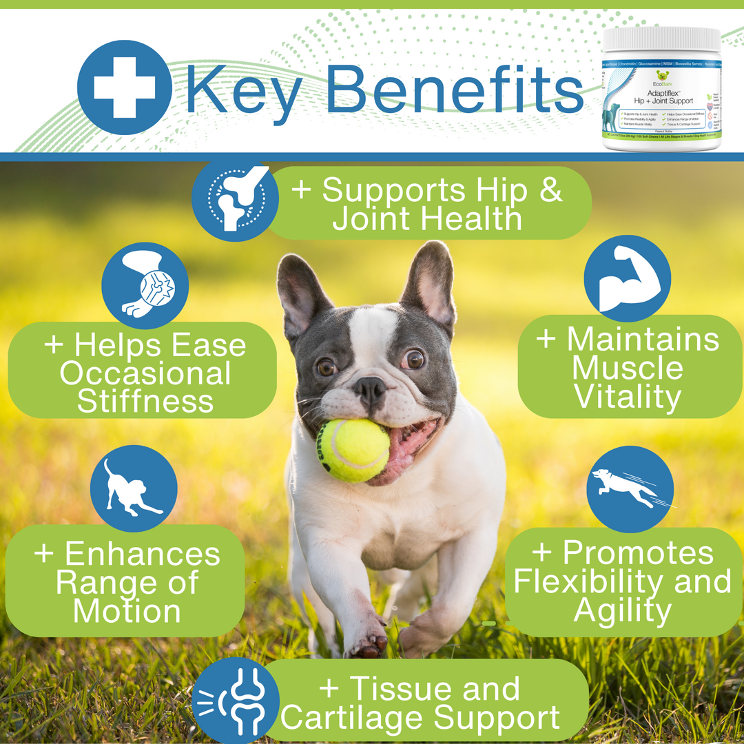 EcoBark Adaptiflex Hip and Joint Supplement for Dogs 100 Soft