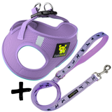 Step In Dog Harness & Leash Set - For Teacup & Small Dogs