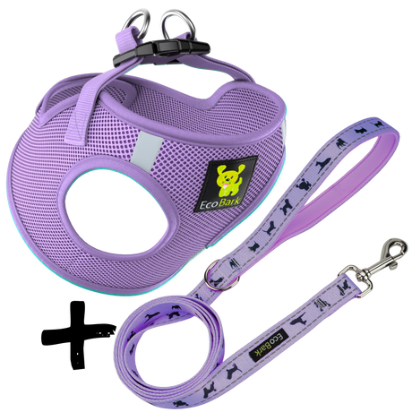 Step In Dog Harness & Leash Set - For Teacup & Small Dogs