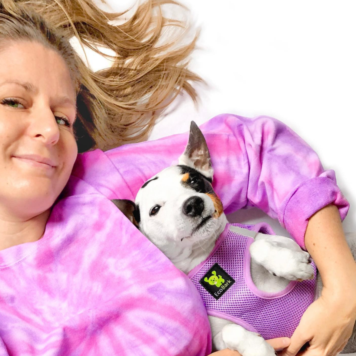 Step In Dog Harness & Leash Set - For Teacup & Small Dogs