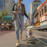 EcoBark Lavender Dog Leash - Comfort Grip Padded Leash - 4ft, 5ft, and 6ft for Small and Medium Dogs