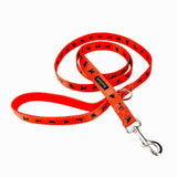 EcoBark Safety Orange Dog Leash- Padded Comfort Grip Leash with Dog Pattern - 4ft, 5ft, and 6ft Leash for Small and Medium Dogs