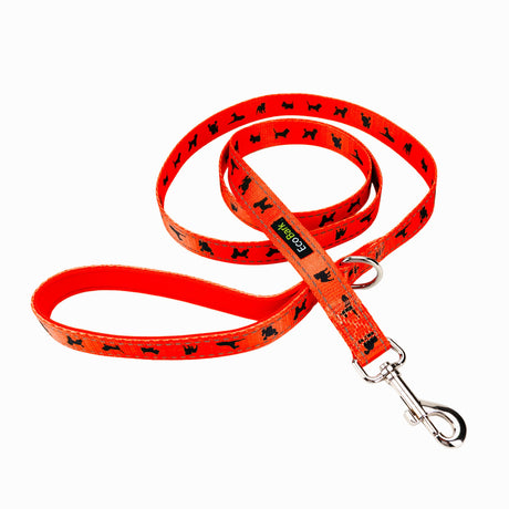 EcoBark Safety Orange Dog Leash- Padded Comfort Grip Leash with Dog Pattern - 4ft, 5ft, and 6ft Leash for Small and Medium Dogs EcoBark Pet Supplies