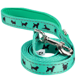 EcoBark Mint Turquoise Dog Leash - Comfort Grip Padded Leash - 4ft, 5ft, and 6ft Dog Leash for Small and Medium Dogs