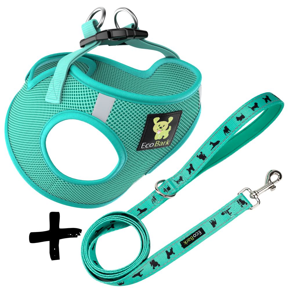 Step In Dog Harness & Leash Set - For Teacup & Small Dogs