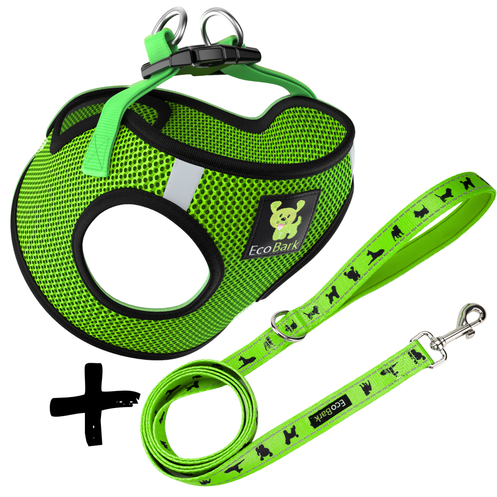 Step In Dog Harness & Leash Set - For Teacup & Small Dogs