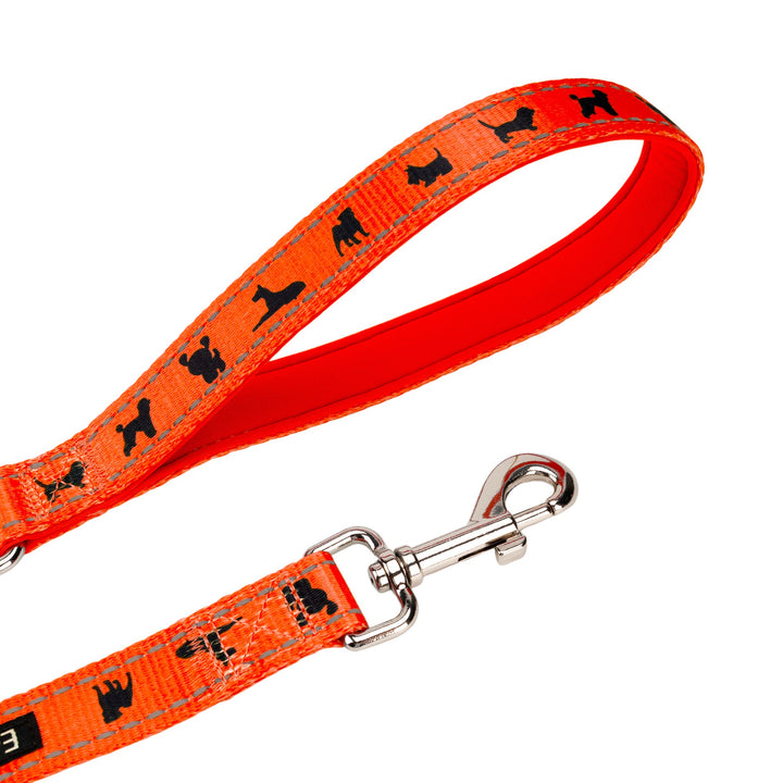 EcoBark Orange Dog Leash- Padded Comfort Grip Leash with Dog Pattern - 5ft Leash for Small and Medium Dogs
