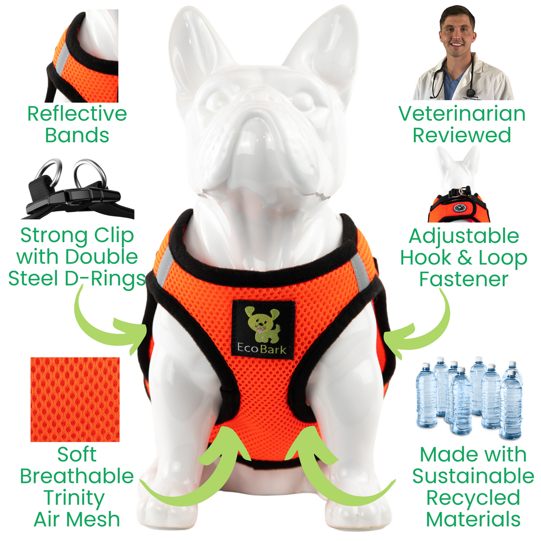EcoBark Safety Orange Step In Dog Harness -Rapid Fastner Reflective Soft Mesh Vest Halter for Puppies and XXXS to Small Dogs