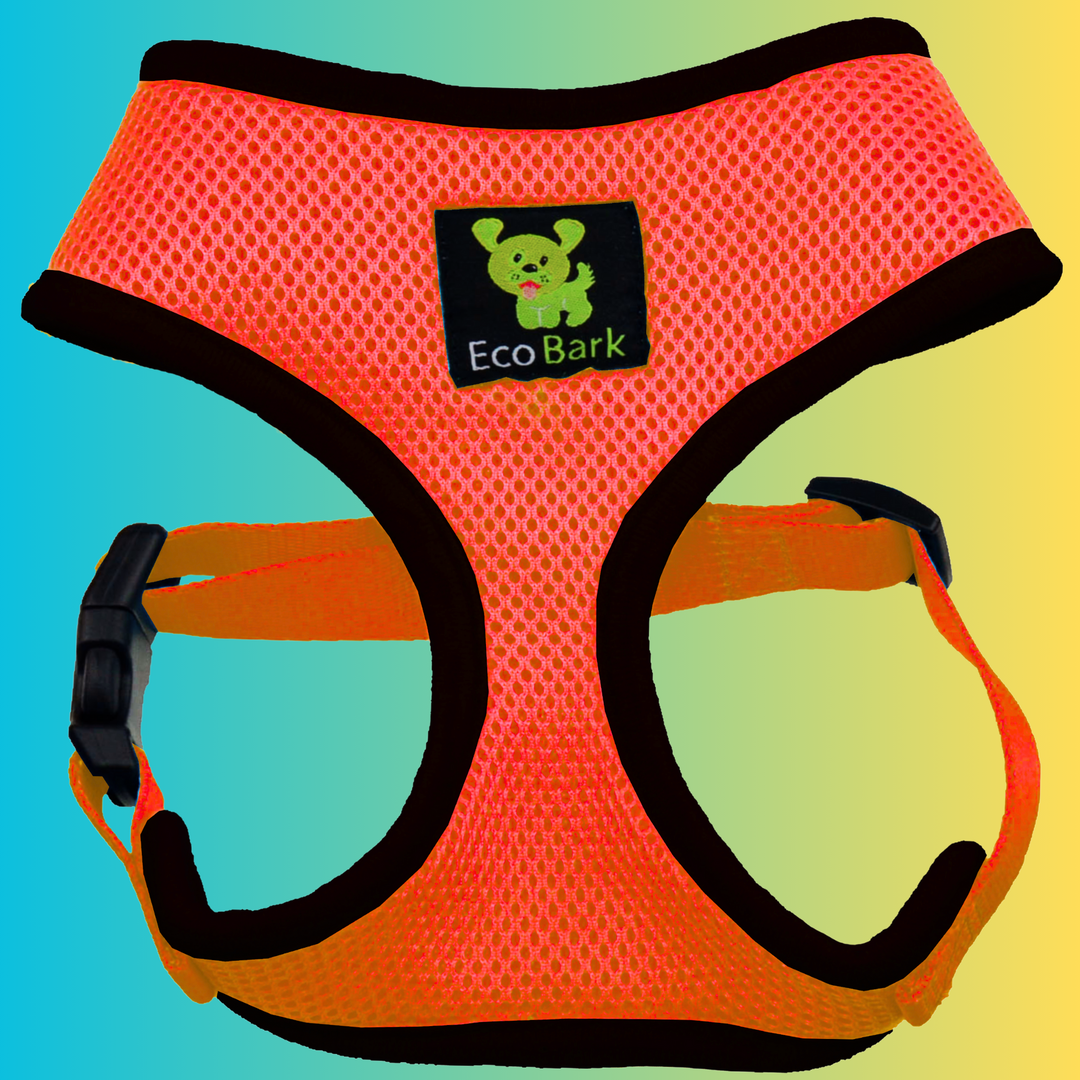 Orange harness online for dogs