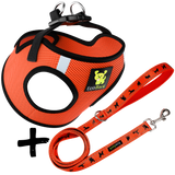 Step In Dog Harness & Leash Set - For Teacup & Small Dogs