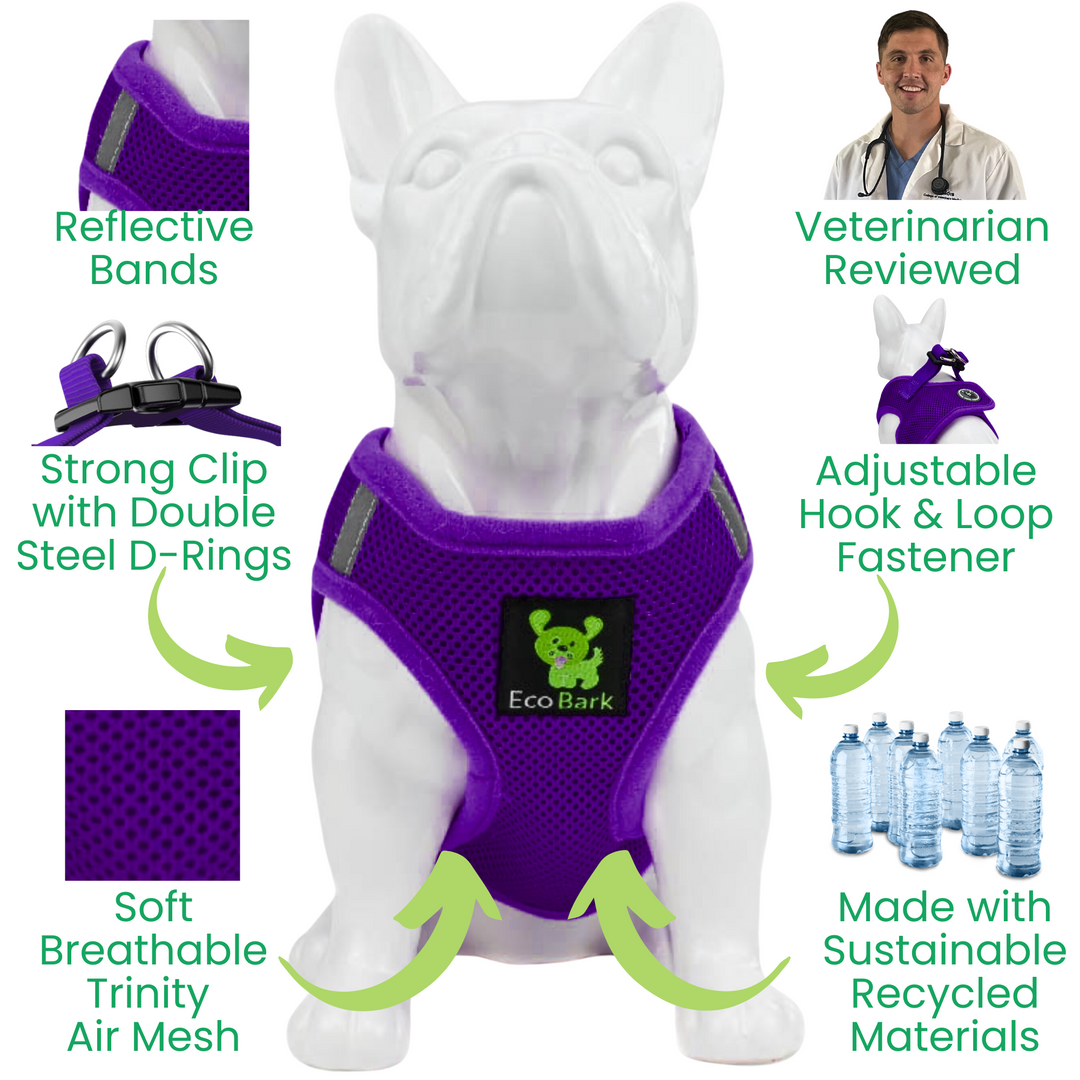EcoBark Purple Step In Dog Harness - Rapid Fastener Reflective Soft Mesh Dog Vest Halter for Small Dogs and Puppies