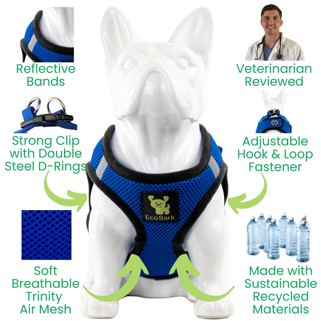 EcoBark Royal Blue Step In Dog Harness - Rapid Fastener Reflective Soft Mesh Vest Halter for XXXS to Small Dogs and Puppies