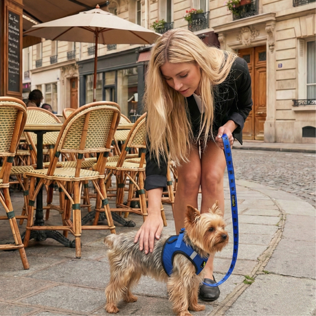 EcoBark Step In Dog Harness - Teacup & Small Breeds- Reflective Soft Mesh Harness for Teacup, Small Dogs and Puppies / Royal Blue EcoBark Pet Supplies