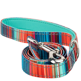 Stripe Dog Leash by EcoBark - Multicolor Padded Comfort Grip Leash - 4ft, 5ft, and 6ft Leash for Small and Medium Dogs