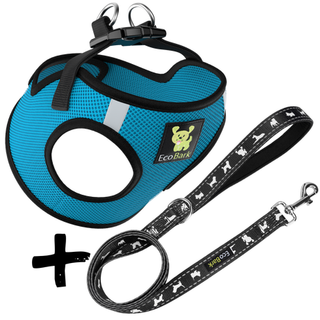 Step In Dog Harness & Leash Set - For Teacup & Small Dogs