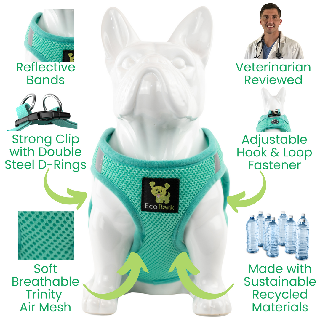 EcoBark Mint Turquoise Step In Dog Harness - Rapid Fastener Reflective Soft Mesh Vest Halter for Puppies and Small Dogs