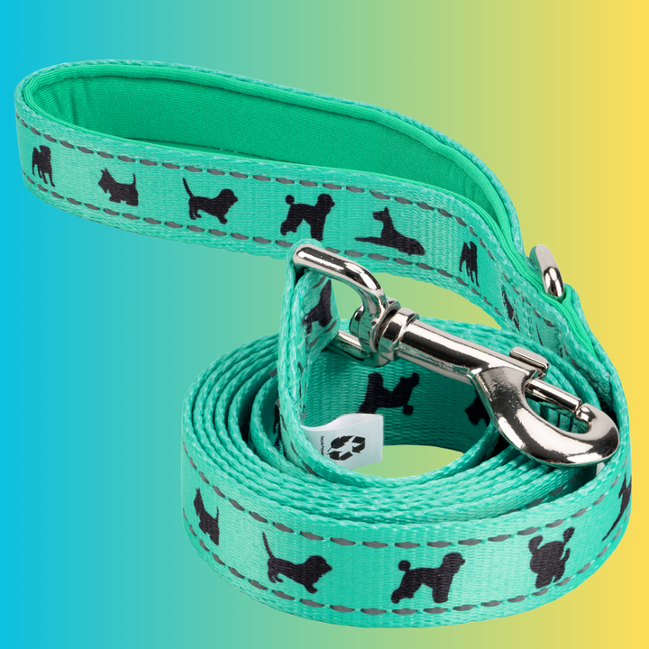 MINT TURQUOISE DOG LEASH- ECOBARK- MINT GREEN COMFORT GRIP PADDED LEASH WITH DOG PATTERN DESIGN 5FT FOR SMALL AND MEDIUM DOGS