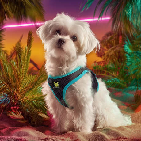 EcoBark Teal and Black Step In Dog Harness - Rapid Fastener Reflective Soft Mesh Vest Halter for Puppies and XXXS to Small Dogs