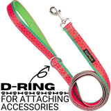 EcoBark Watermelon Dog Leash- Padded Comfort Grip Leash - 4ft, 5ft, and 6ft Leash for Small and Medium Dogs