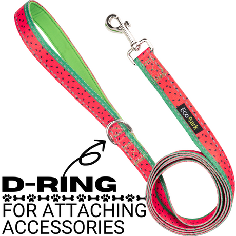 EcoBark Watermelon Dog Leash- Padded Comfort Grip Leash - 4ft, 5ft, and 6ft Leash for Small and Medium Dogs EcoBark Pet Supplies