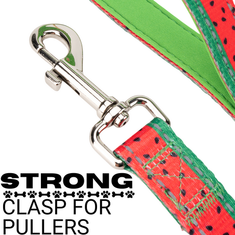 EcoBark Watermelon Dog Leash- Padded Comfort Grip Leash - 4ft, 5ft, and 6ft Leash for Small and Medium Dogs EcoBark Pet Supplies