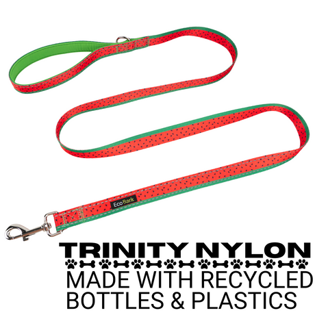 EcoBark Watermelon Dog Leash- Padded Comfort Grip Leash - 4ft, 5ft, and 6ft Leash for Small and Medium Dogs EcoBark Pet Supplies