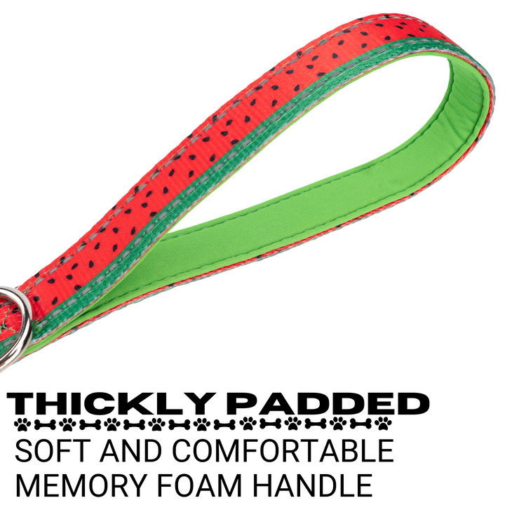 EcoBark Watermelon Dog Leash- Padded Comfort Grip Leash - 4ft, 5ft, and 6ft Leash for Small and Medium Dogs