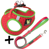 Step In Dog Harness & Leash Set - For Teacup & Small Dogs