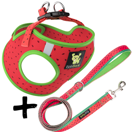 Step In Dog Harness & Leash Set - For Teacup & Small Dogs